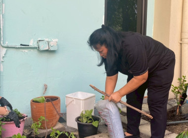 “ปลูกพืชผักสวนครัว” ภายใต้โครงการส่งเสริมองค์กรคุณธรรม ... พารามิเตอร์รูปภาพ 11